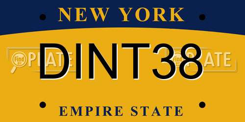 DINT38 New York License Plate
