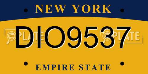 DIO9537 New York License Plate
