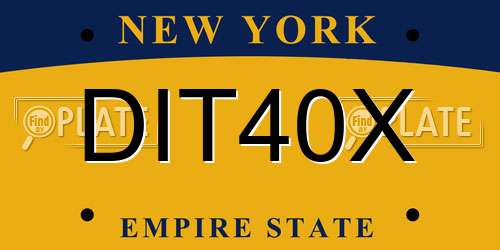 DIT40X New York License Plate