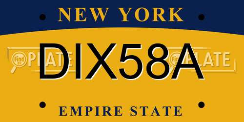 DIX58A New York License Plate