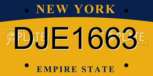 DJE1663 New York License Plate