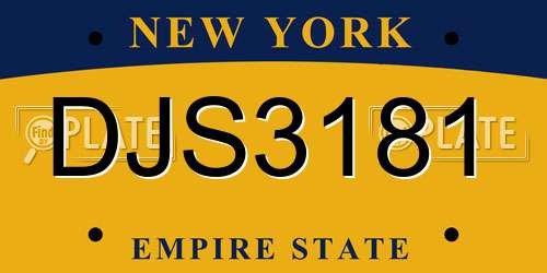 DJS3181 New York License Plate