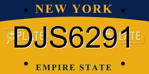 DJS6291 New York License Plate