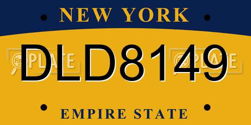 DLD8149 New York License Plate
