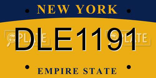 DLE1191 New York License Plate