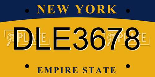 DLE3678 New York License Plate