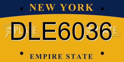DLE6036 New York License Plate