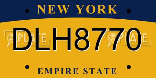 DLH8770 New York License Plate
