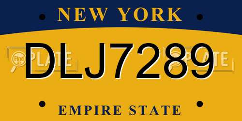 DLJ7289 New York License Plate