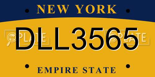 DLL3565 New York License Plate