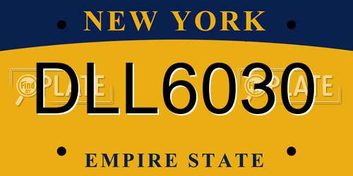 DLL6030 New York License Plate