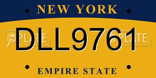 DLL9761 New York License Plate