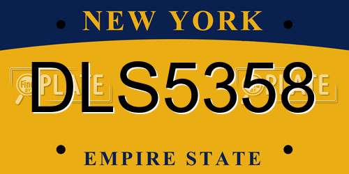 DLS5358 New York License Plate