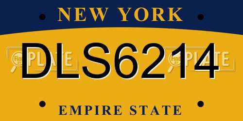 DLS6214 New York License Plate