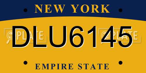 DLU6145 New York License Plate