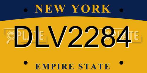 DLV2284 New York License Plate