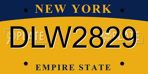 DLW2829 New York License Plate
