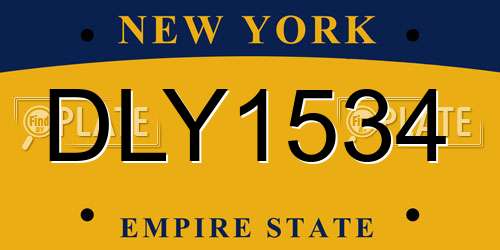 DLY1534 New York License Plate