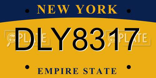 DLY8317 New York License Plate