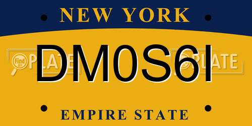DM0S6I New York License Plate
