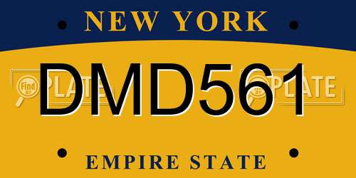DMD561 New York License Plate