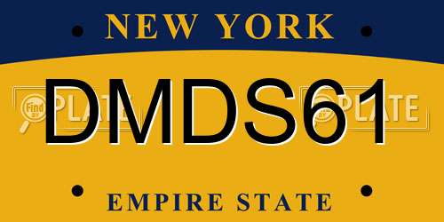 DMDS61 New York License Plate