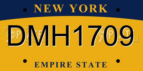 DMH1709 New York License Plate