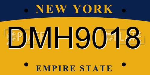 DMH9018 New York License Plate