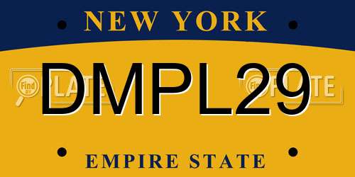 DMPL29 New York License Plate