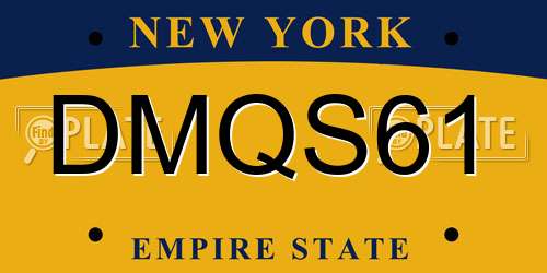 DMQS61 New York License Plate