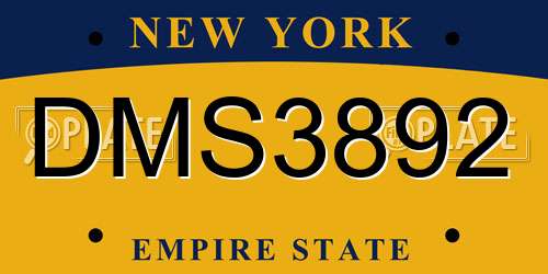 DMS3892 New York License Plate