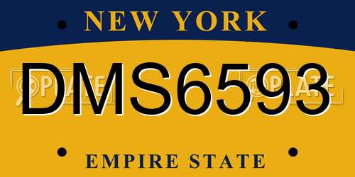 DMS6593 New York License Plate