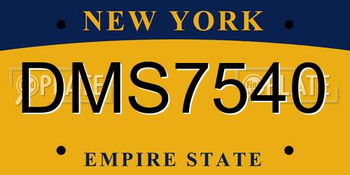 DMS7540 New York License Plate