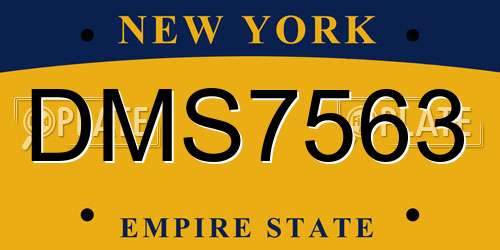 DMS7563 New York License Plate