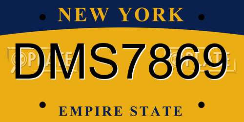 DMS7869 New York License Plate