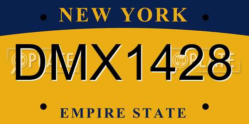 DMX1428 New York License Plate