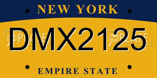 DMX2125 New York License Plate