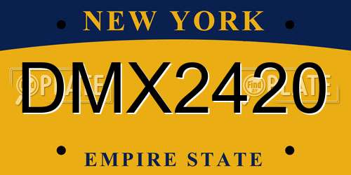 DMX2420 New York License Plate