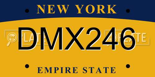 DMX246 New York License Plate