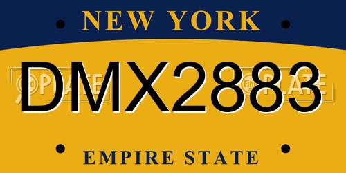 DMX2883 New York License Plate