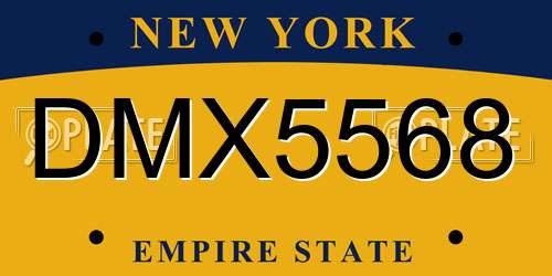 DMX5568 New York License Plate