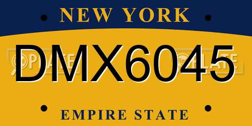 DMX6045 New York License Plate