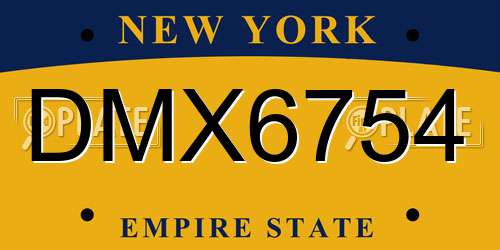 DMX6754 New York License Plate