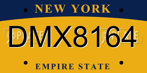 DMX8164 New York License Plate