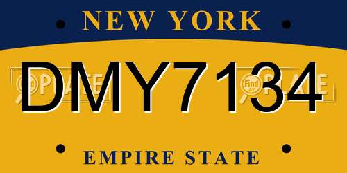 DMY7134 New York License Plate
