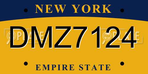 DMZ7124 New York License Plate