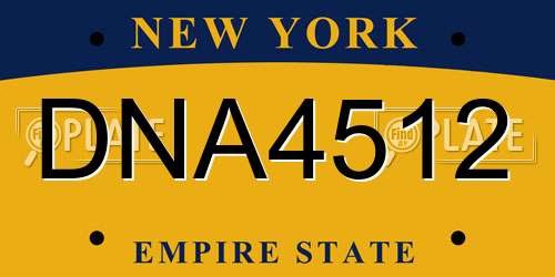 DNA4512 New York License Plate