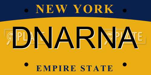 DNARNA New York License Plate
