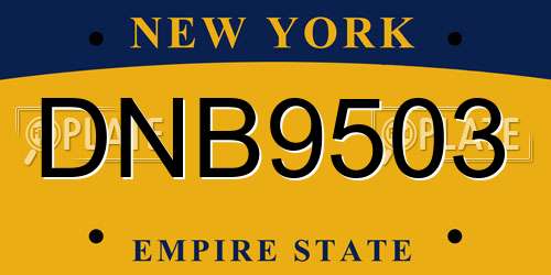 DNB9503 New York License Plate