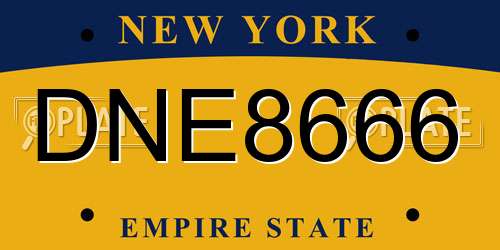 DNE8666 New York License Plate